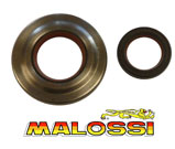 Malossi PTFE Oil Seals Clutch & Flywheel Px-Etc