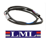 LML CDI Wire Loom & Multi Plugs