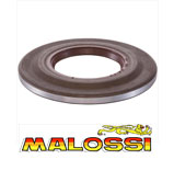 Malossi PTFE Oil Seal Clutch Side Px-Etc